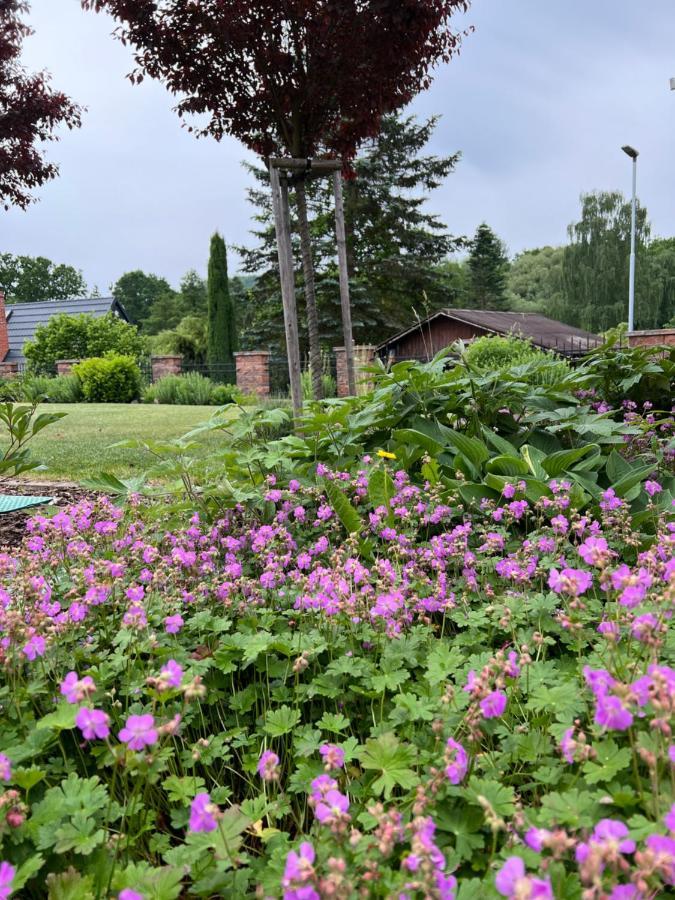 Apartman Elen - 6 Luzek, 86 M2 Decin Buitenkant foto